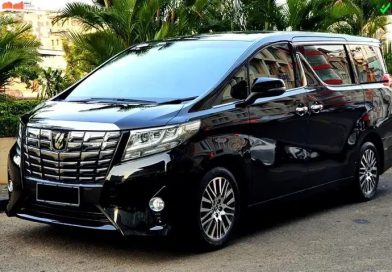 sewa alphard pati