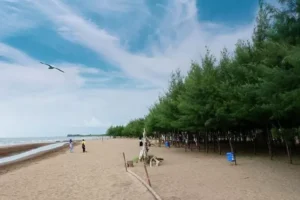 Pantai Wonokerto