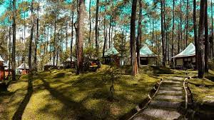 Tempat Camping di Sekitar Bandung
