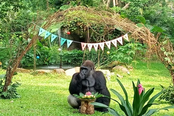 Kebun Binatang di Jakarta