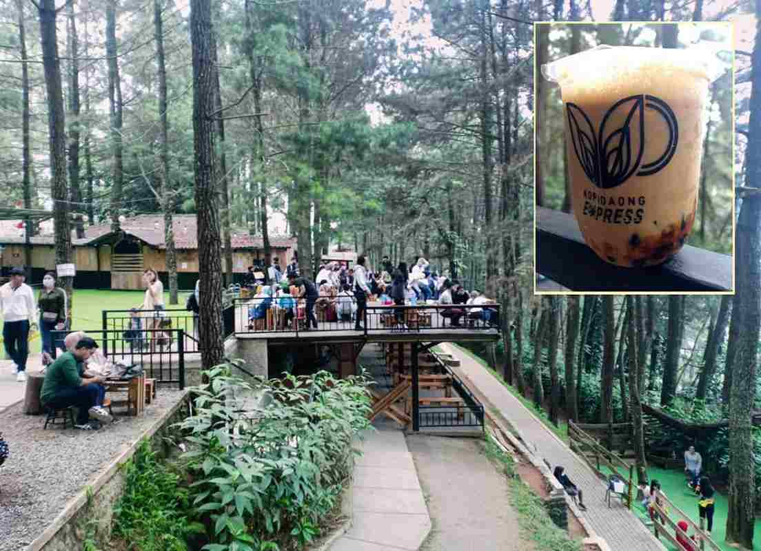 Wajah Wisata Bogor Baru, 6 Rekomendasi Segar untuk Liburan Tak Terlupakan