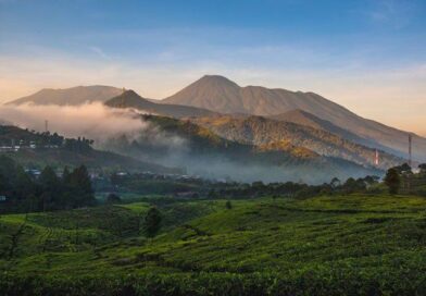 Wisata Bogor Viral