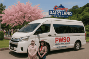 travel semarang tegal murah