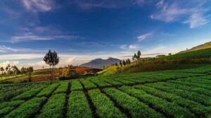 Wisata Malang Jawa Timur Terbaru