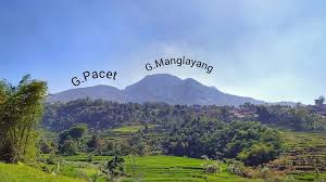 Rental Mobil Pacet